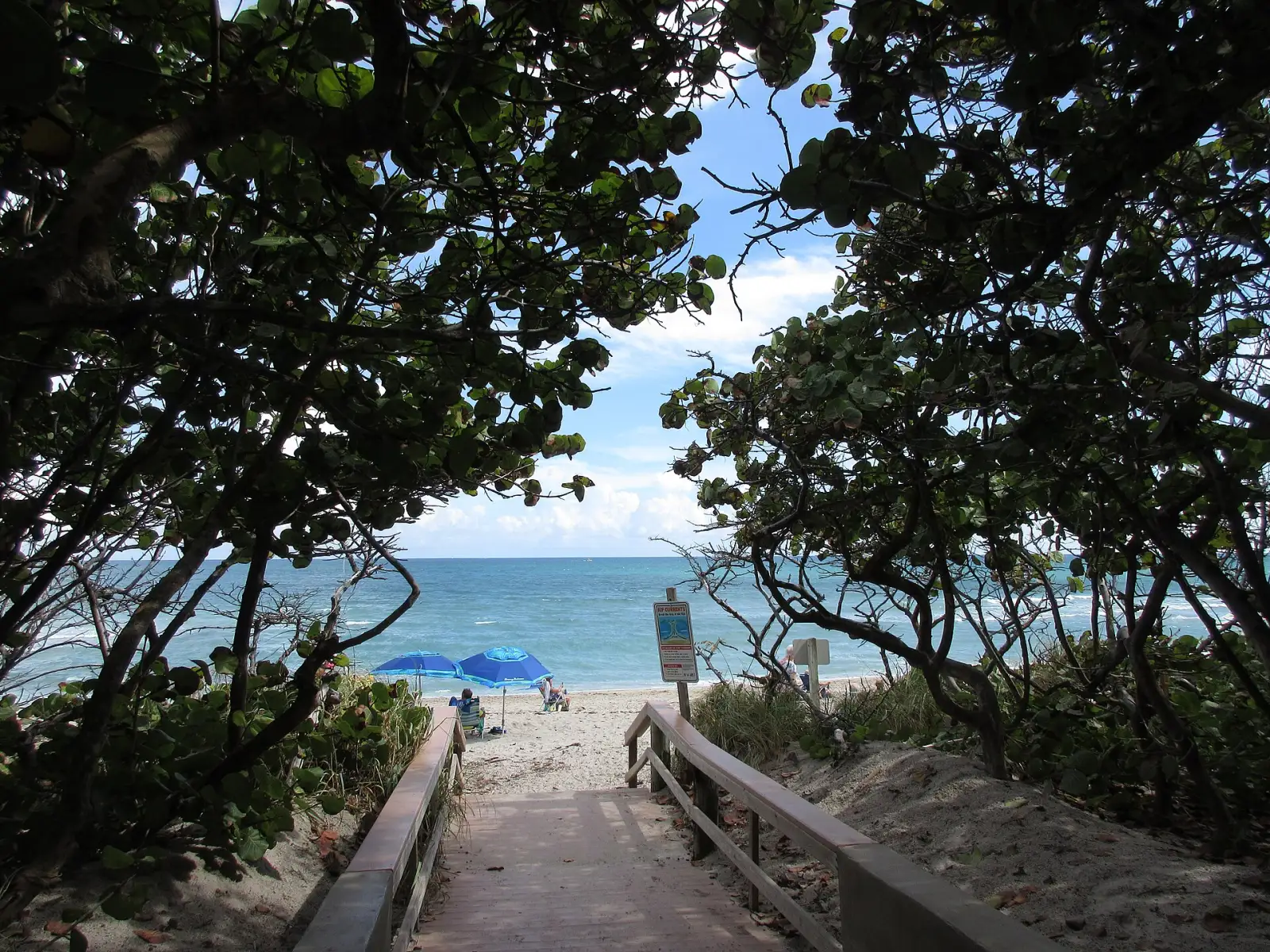 A boardwalk through sea grape trees leads to the beach by the Jupiter Inlet.