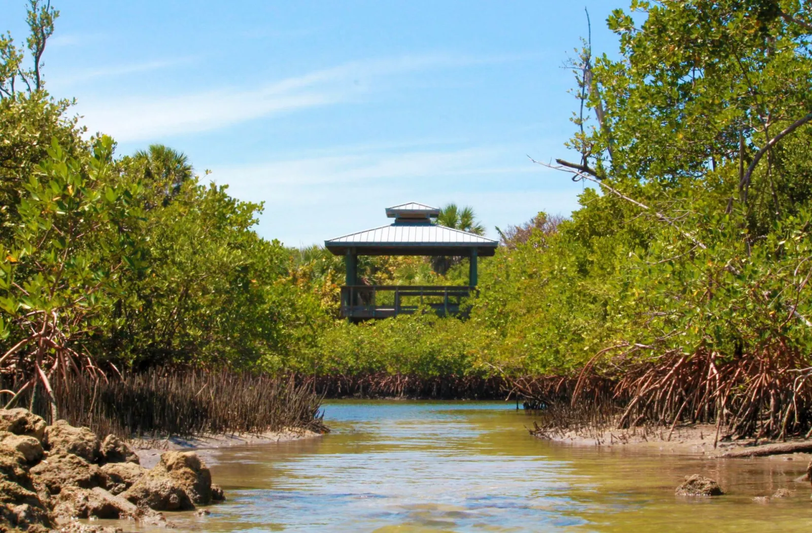 An observation shelter rises above the mangroves at the Jupiter Inlet Lighthouse Outstanding Natural Area.